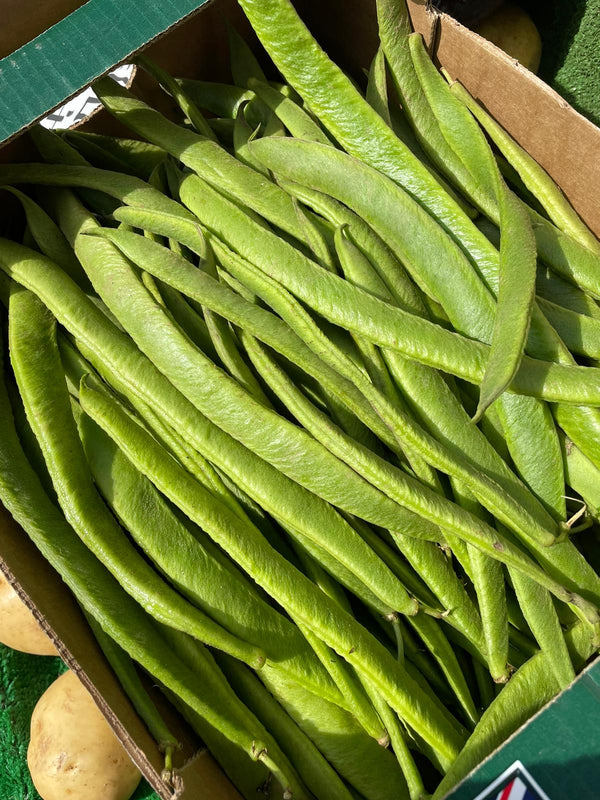 Runner Beans