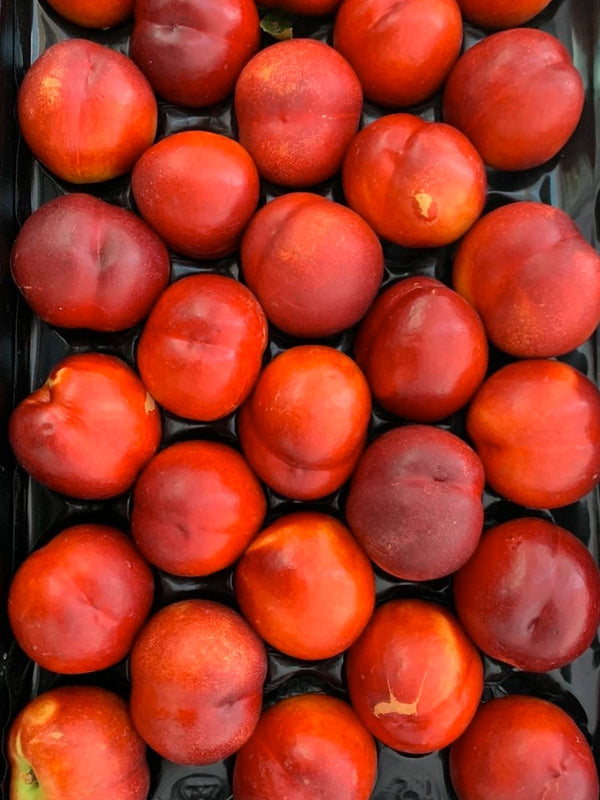 Nectarines